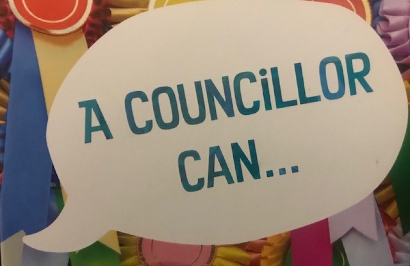 A Councillor Can